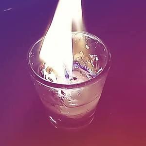 Meet your Posher, Victorya